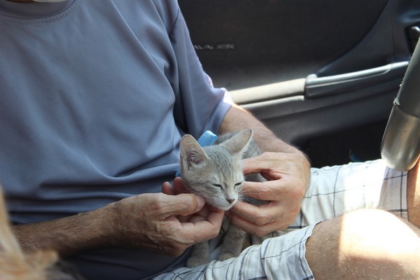 29762C85-FA72-4963-99E0-DF1776FA5D45_1_105_c