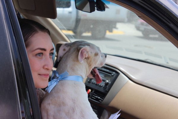 816D0470-1127-4B09-B00B-1DC3A60C975A_1_105_c