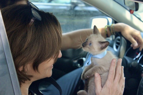 CAE57EFF-1092-4812-9BEC-2B7DFAC6ED67_1_105_c