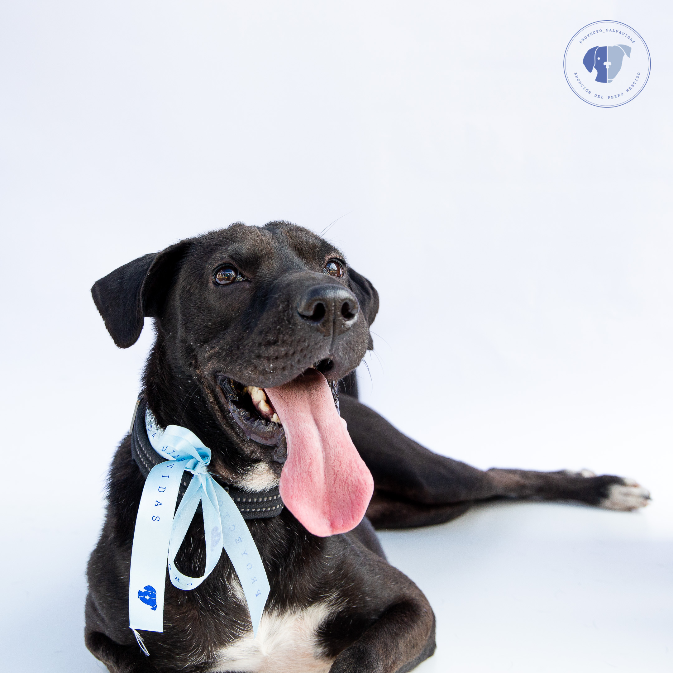 SEBAS, TONY, DARKO/ Agosto 2021