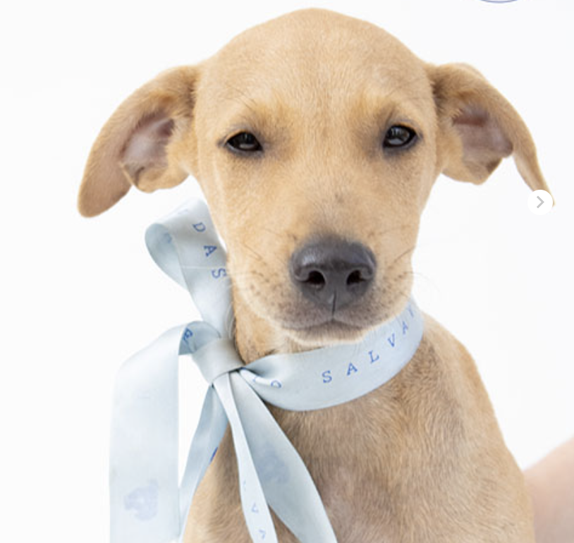 Screen Shot 2022-09-28 at 15.59.17