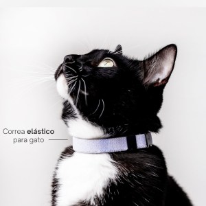 Collar elástico para gatos