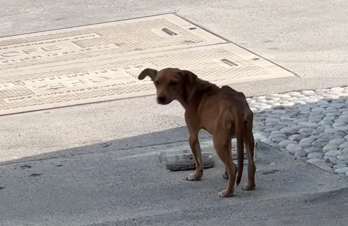caso