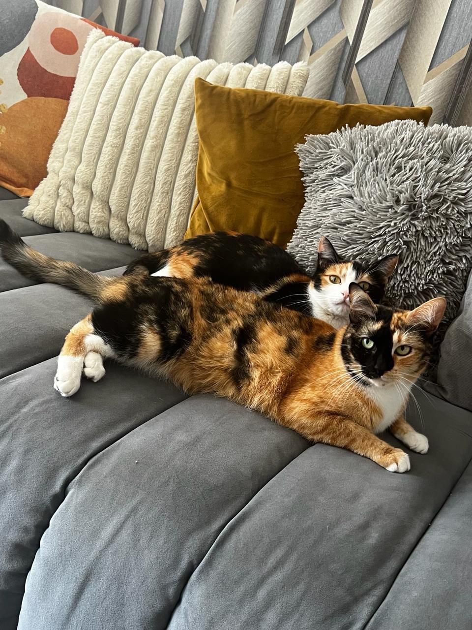 Sabrina